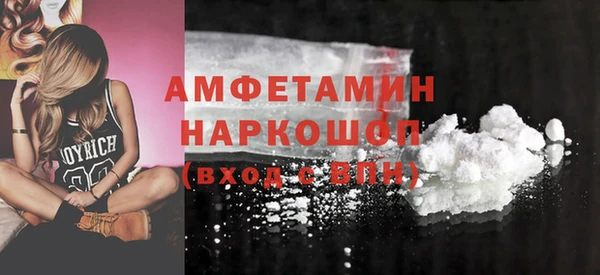 прущие грибы Ельня