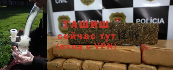 прущие грибы Ельня