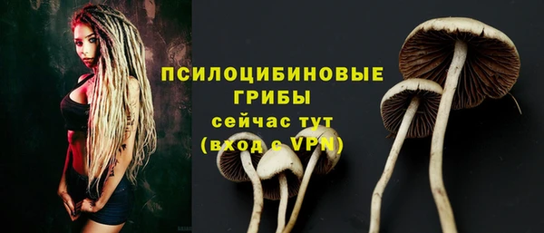 прущая мука Елабуга