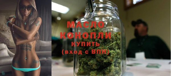 прущие грибы Ельня