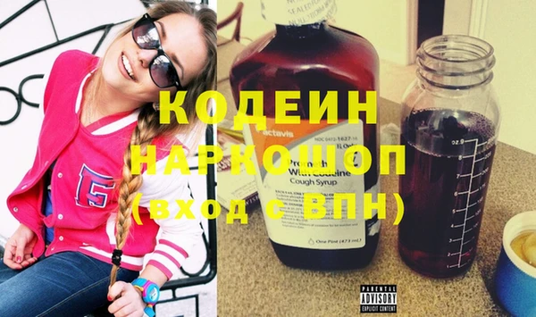 прущие грибы Ельня