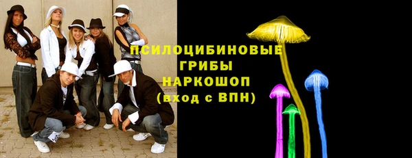 метадон Елизово