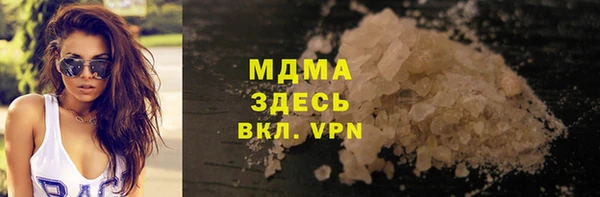 прущие грибы Ельня