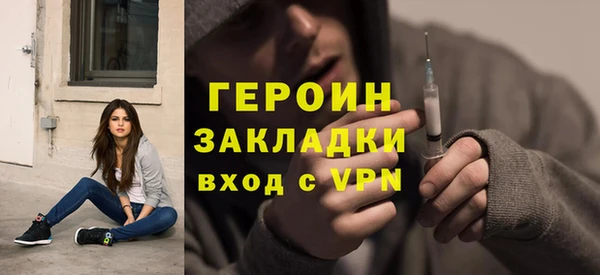 прущие грибы Ельня