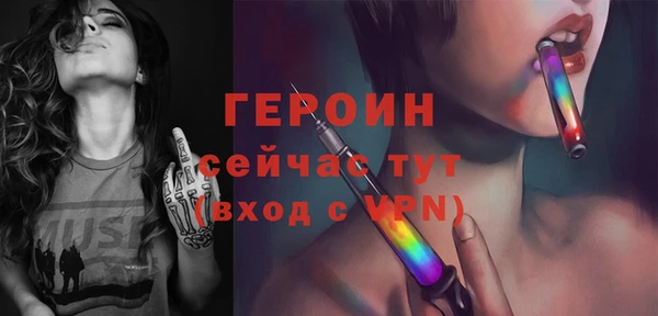 прущие грибы Ельня