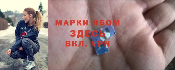 прущие грибы Ельня