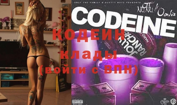 прущие грибы Ельня