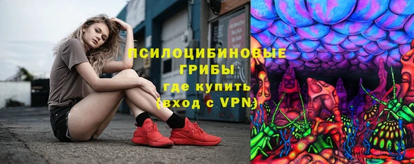 ПСИЛОЦИБИНОВЫЕ ГРИБЫ Заволжск