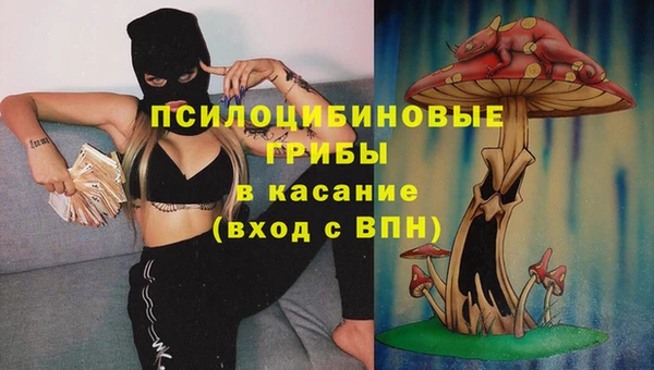 прущая мука Елабуга