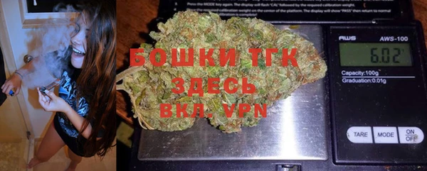 метадон Елизово