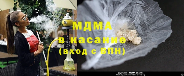 прущие грибы Ельня